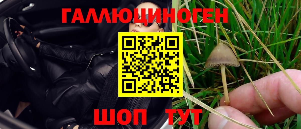 Городец  Псилоцибиновые грибы Magic Shrooms  Псилоцибиновые грибы ЛСД  Вход с VPN 