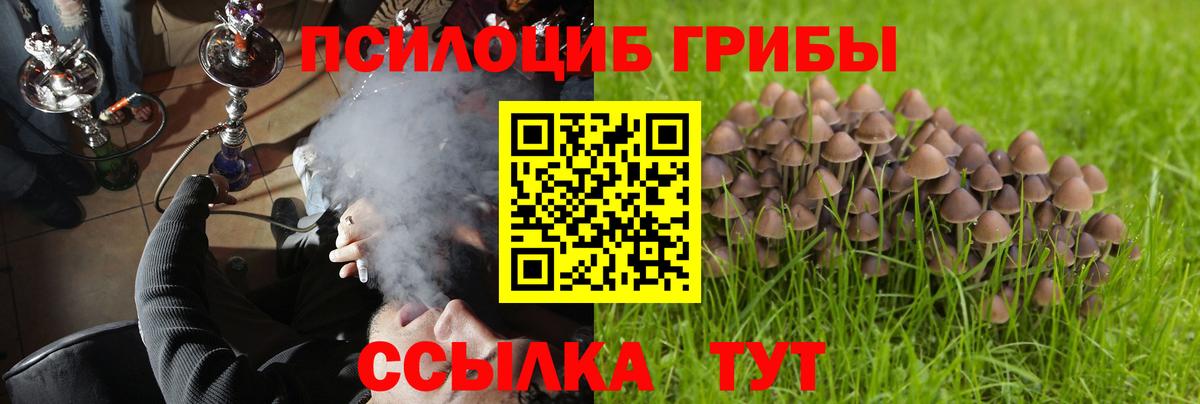 Галлюциногенные грибы мухоморы Городец